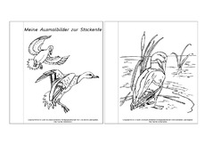 Mini-Buch-Ausmalbilder-Stockente-1-6.pdf